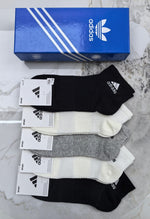 5-Pair Comfort Socks Set (1 BOX)-174