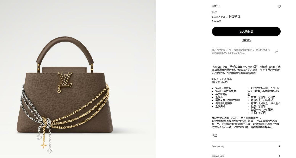 2026 Classic Everyday Bag-261018