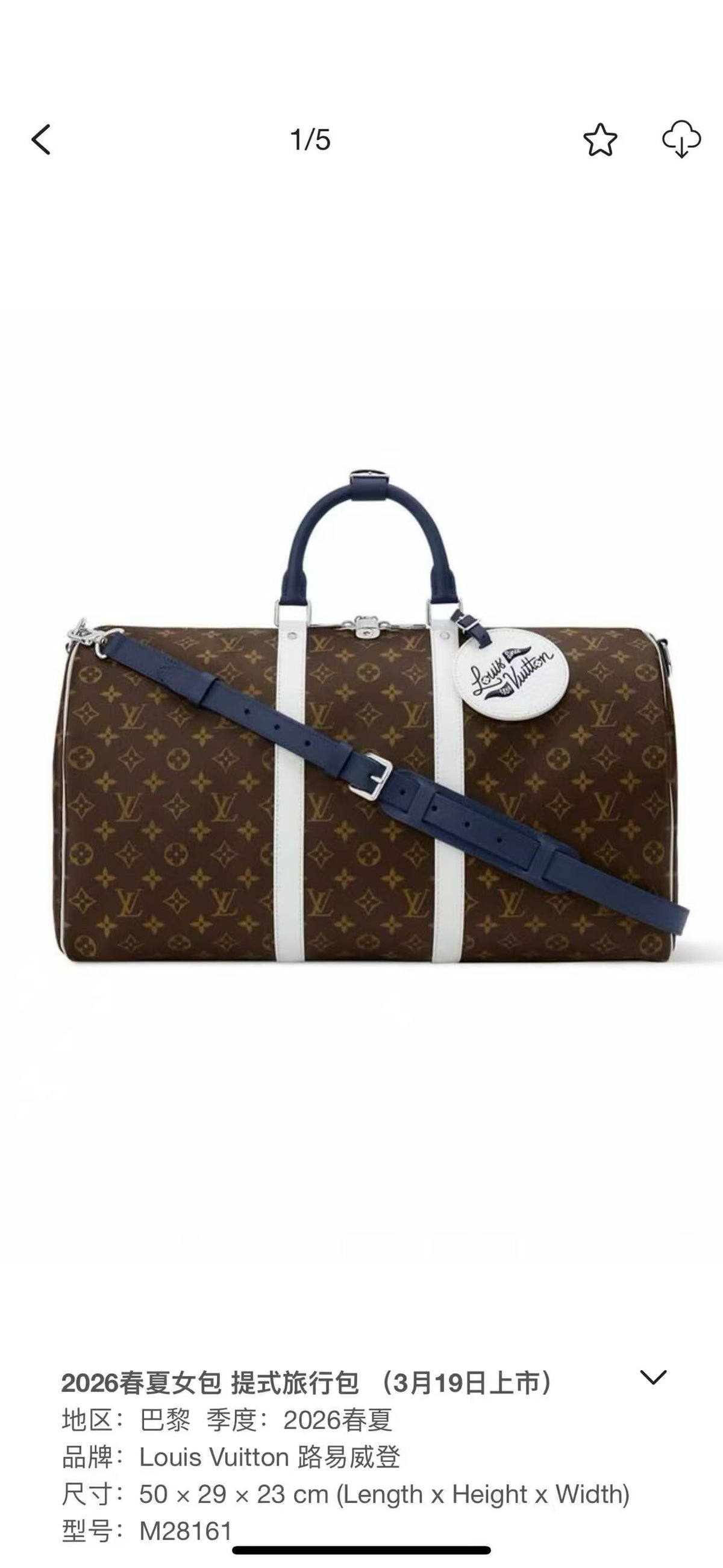 2026 Classic Everyday Bag-261015