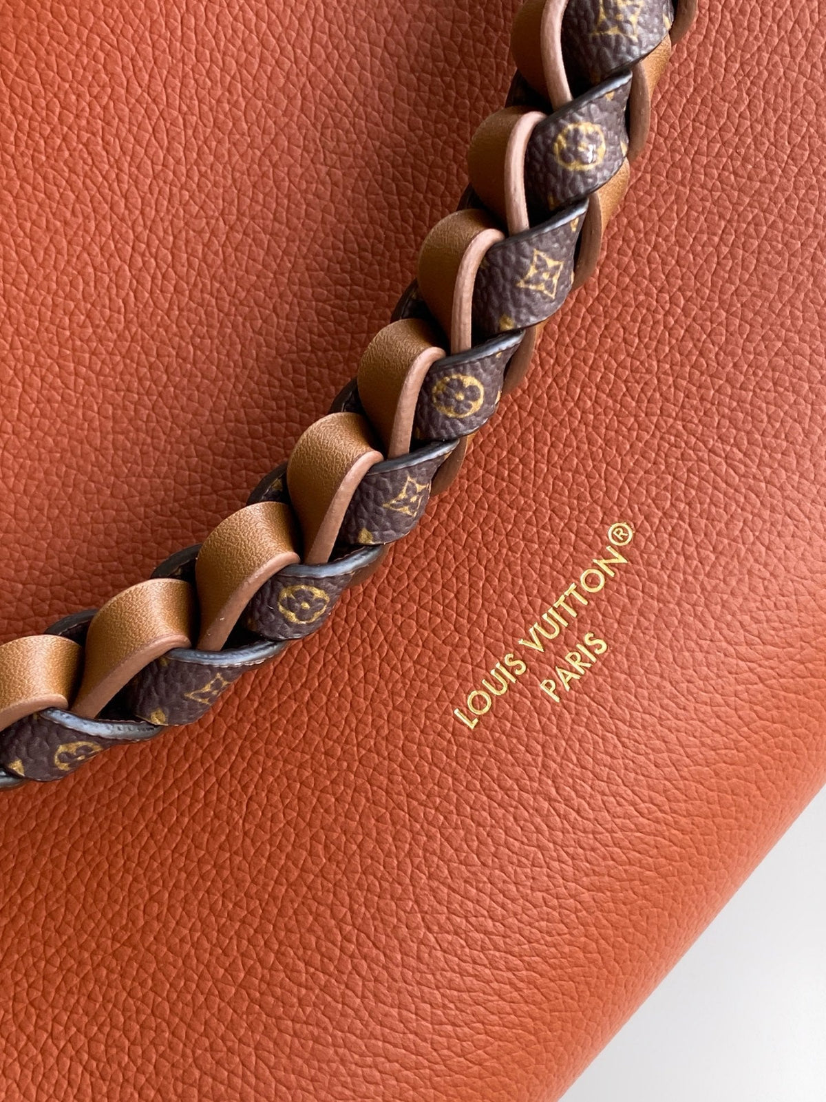 2026 Classic Everyday Bag-261037