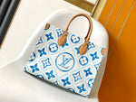 2026 Classic Everyday Bag-261050