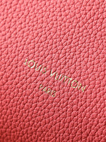 2026 Classic Everyday Bag-261069