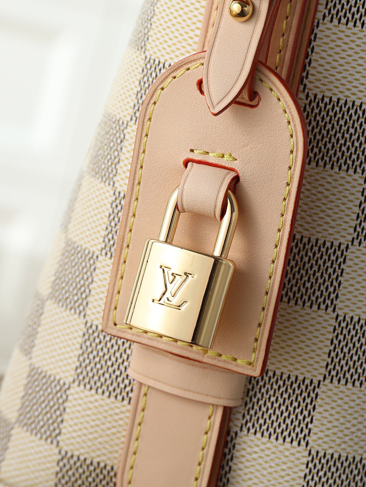 2026 Classic Everyday Bag-261078