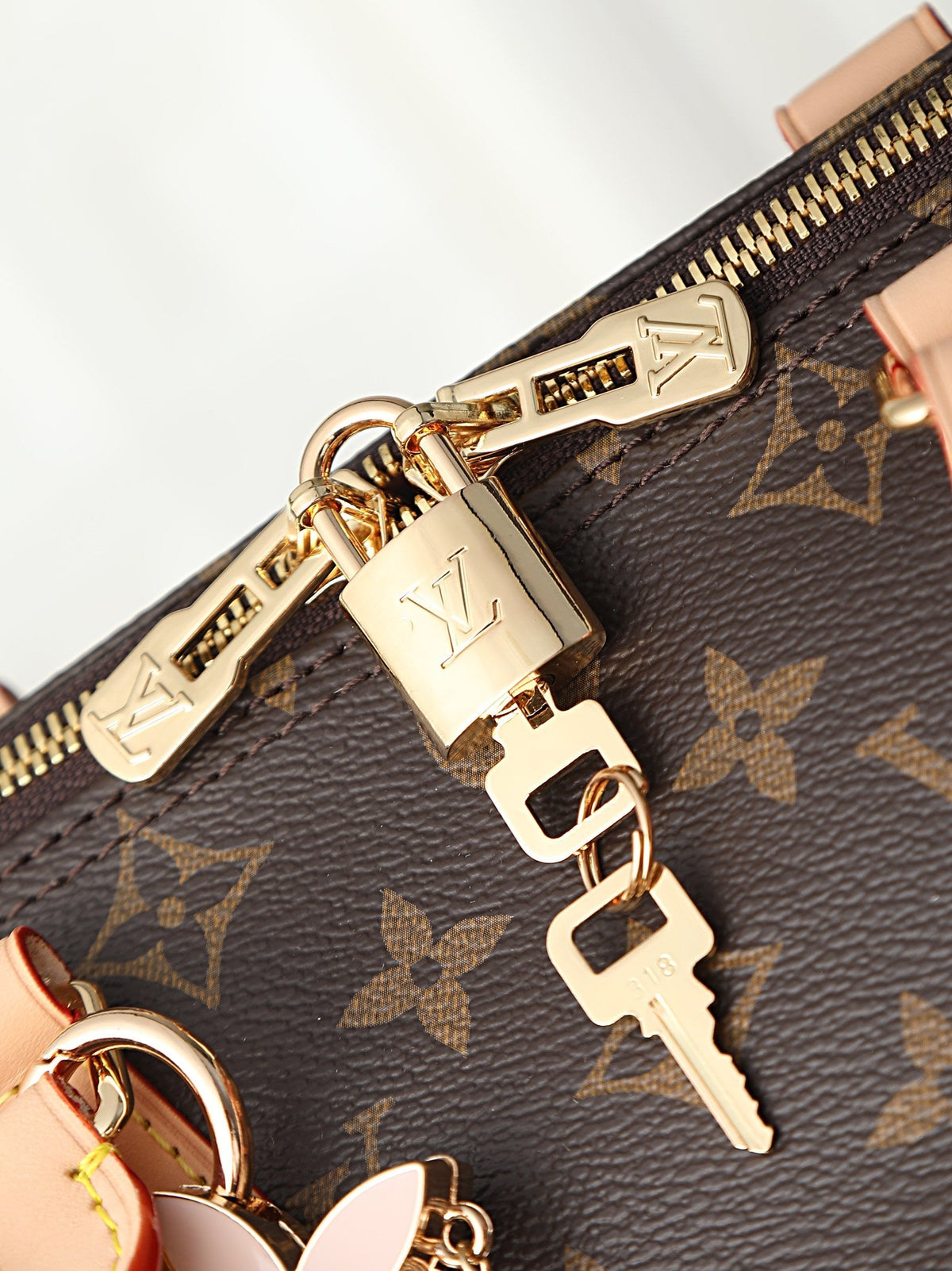 2026 Classic Everyday Bag-261084